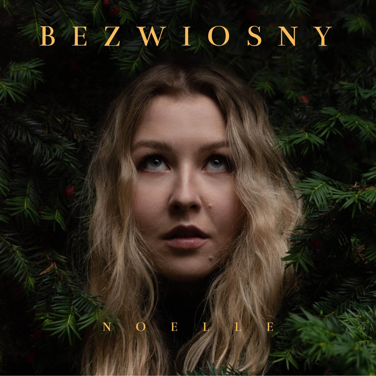 Noelle przedstawia album„Bezwiosny”
