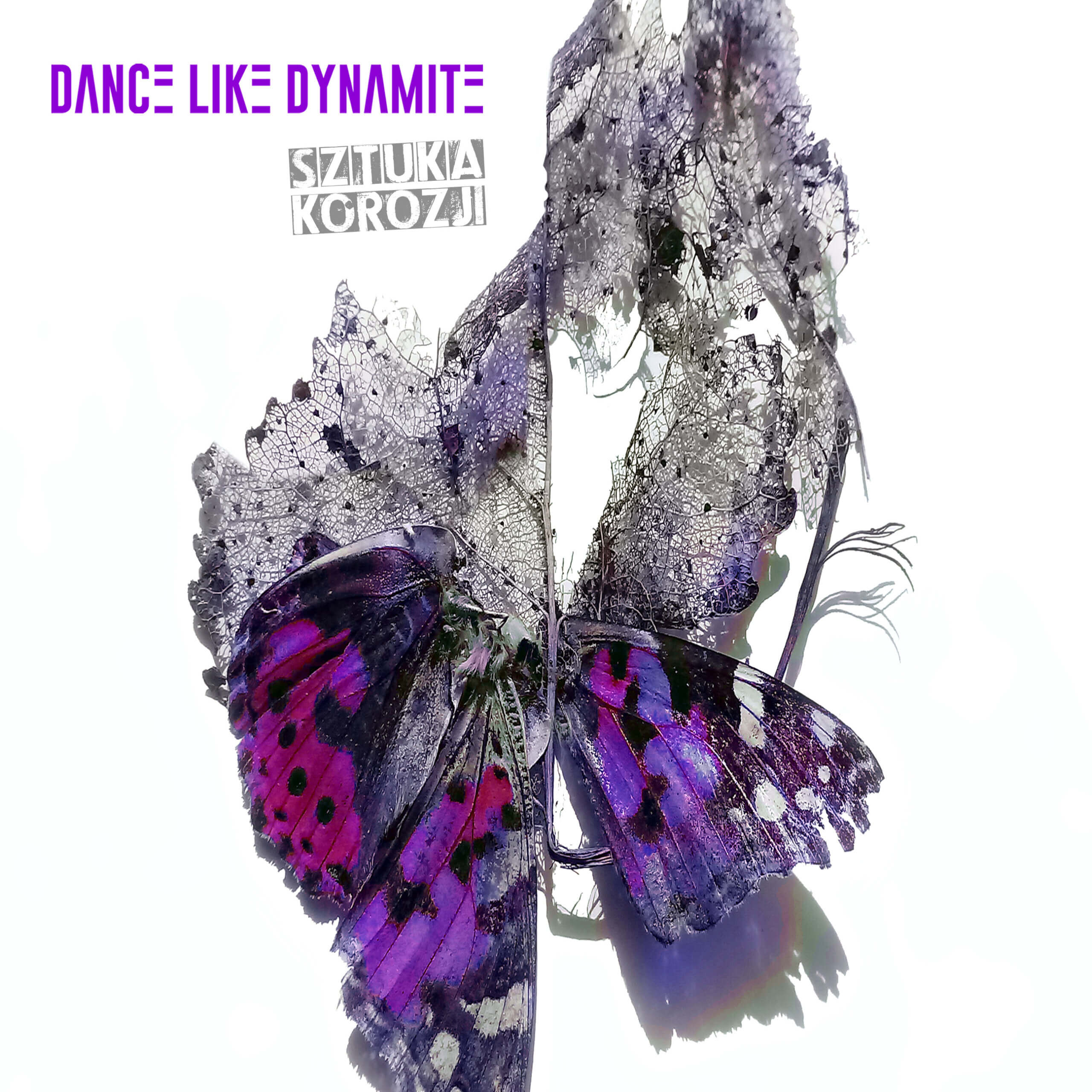 Dance Like Dynamite drugim zespołem Case Studio FEST 2026